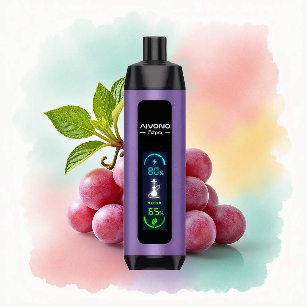 Aivono Aim Fatpro 22000 Menthe Raisin 5% Nicotine 600mAh 28ml