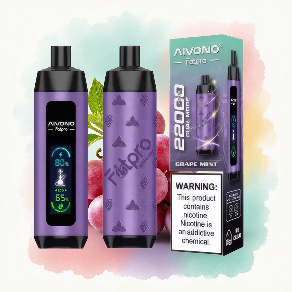 Aivono Aim Fatpro 22000 Menthe Raisin 5% Nicotine 600mAh 28ml